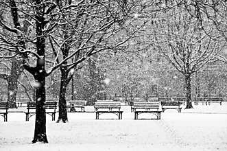 Beautiful, peaceful scene of a park during a winter