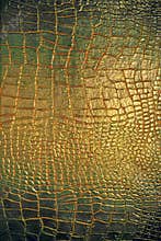 Reptile leather texture