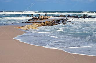 Seascape. Waves show. Summer, sea, sun, beach, holiday, fun - Black Sea, landmark attraction in Romania
