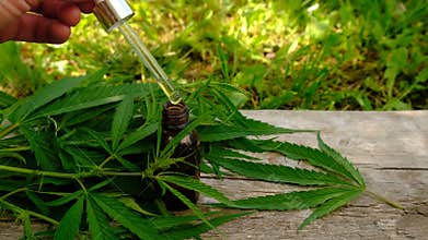 Cannabis supplements and homeopathy. Selective focus.