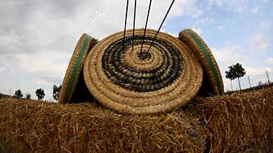 Arrows in archery target