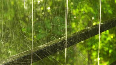 View of raindrops hit the black iron fence in sunlight.