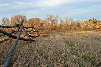 Old Wooden Fence
