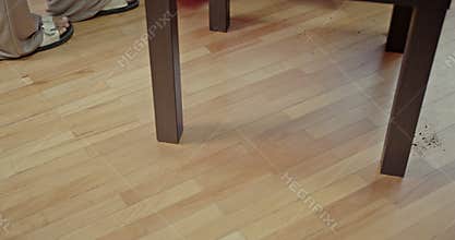 Sweeping a Dirty Wooden Floor with a Broom and Dustpan, with Natural Sounds