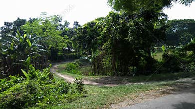 Village road, village scenery, beautifull scene, Natural scene