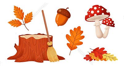 Autumn forest elements stump acorn mushrooms oak leaves and broom gathering collection