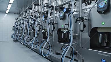 Automated Milking System Robotic Technology Cows Farm Agricultural Industrial Technology with Modern Equipment and Blue Lights