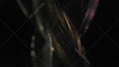 Abstract Play Of Light And Color With Blurry Bokeh Effect Creating A Dreamy Atmosphere