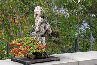Beautiful stone arrangement with vibrant red flowers at a serene outdoor setting in autumn