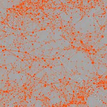 Orange dots connected on grey. Abstract background
