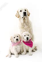 Father and daughters