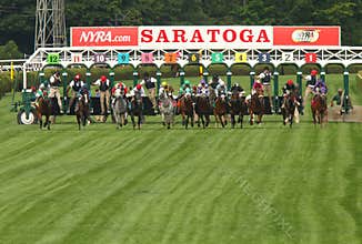 And They're Off Down the Turf Course!