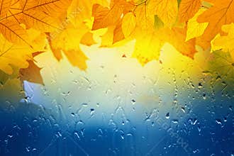 Fall background