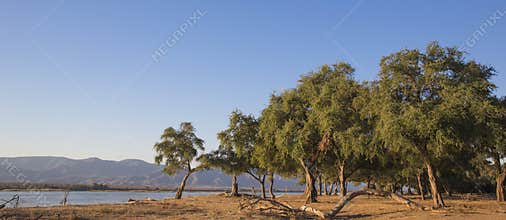 View over the Zambezi river