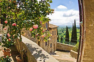 Roses on a balcony, cityscape of San Gimignano, Tuscany landscape in background