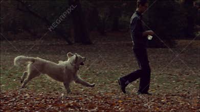 Young guy playing with the dog