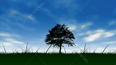 Tree and blue sky