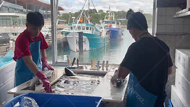 Fishermen clean fish in Sydney Fish Market