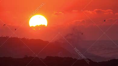 Seagulls fly over sea against setting sun