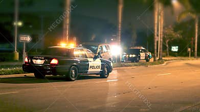 Police at Scene of Car Accident at Night