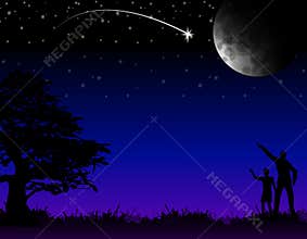 Wish Upon A Falling Star