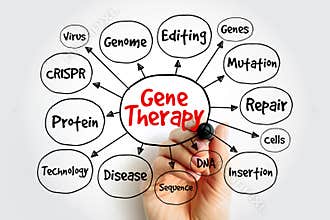 Gene Therapy mind map concept showing genome editing, CRISPR, DNA sequence, and medical technology. Hand drawing a flowchart for