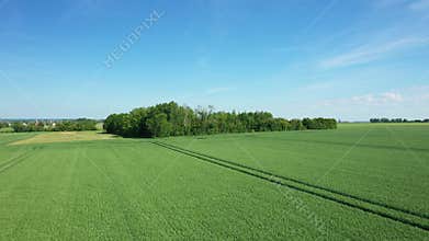 Green fields and trees at Batteries Hillman