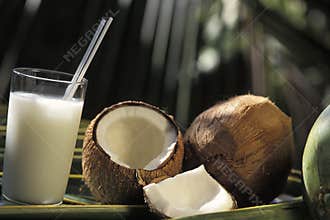 Brazilian drinks: batida de coco.