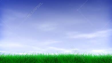 Green Grass & Blue Sky