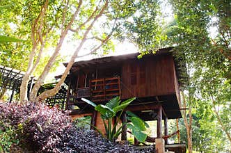 Natural style resort villa architecture
