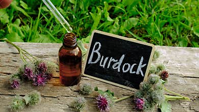 Burdock supplements in nature. Selective focus.