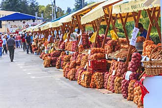 Market
