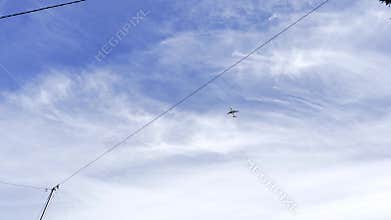 Airplane and bird flying across a partly cloudy blue sky