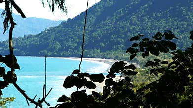 Daintree national park