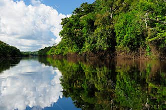 Amazon river landscape in Brazil