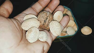 Close up of a hand holding almonds with a single walnut in a rustic nut display