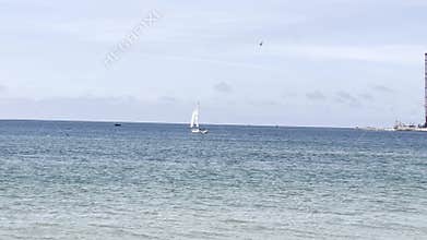 serene seascape with a sailboat gliding across the calm blue