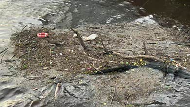 Rubbish floating on the River Clyde in Glasgow polluting the water