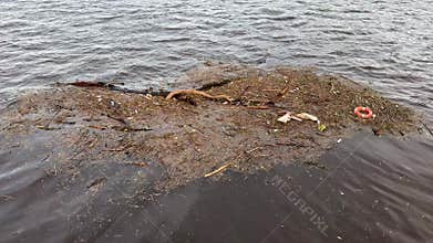 Rubbish floating on the River Clyde in Glasgow polluting the water