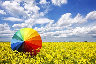 Rainbow umbrella