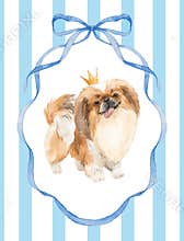 Cute dog watercolor illustration. Shih Tzu with crown, Blue Ribbon Frame on Striped Background design