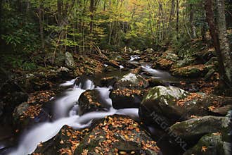 Flowing into Fall