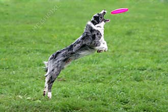 Catch!