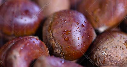 a group of wet, fresh chestnut fruits with a brown hard