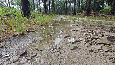 stagnant pool of rainwater along the diminishing perspective rural pathway into the rural countryside