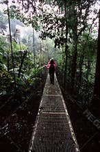 Hikers on hanging bridge