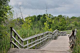A trail on Île Bizard in Montreal, Quebec, Canada