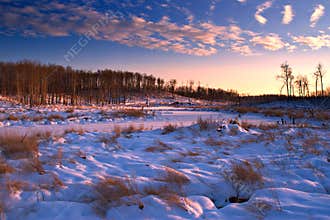 Winter Landscape