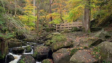 Autumn woodland and cascading water at Wyming Brook in the Derbyshire, Peak District National Park