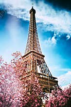 Springtime in Paris. Eiffel tower